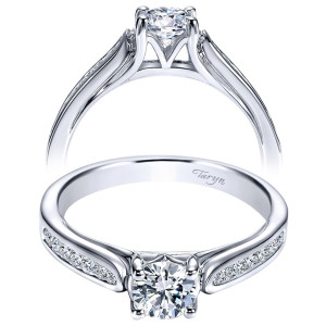 Taryn 14k White Gold Round Straight Engagement Ring TE96293W44JJ