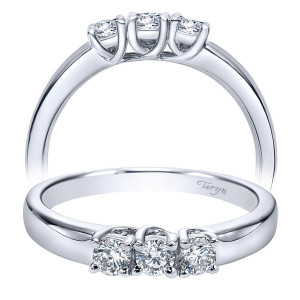 Taryn 14 Karat White Gold Straight Wedding Band TW2718W44JJ
