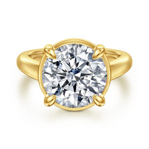 Gabriel & Co. ER16491R20Y44JJ 14 karat yellow gold Contemporary engagement ring, front view of a large round center in a flat rim held by four prongs set on the diagonals