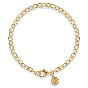 Gabriel & Co. TB4666Y4JJJ 14 karat yellow gold Contemporary bracelet, front view of a plain oval link chain with a lobster clasp and a maker's tag