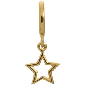 Endless Jewelry Star Gold Plated Charm 53204
