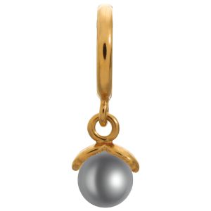 Endless Jewelry Grey Wish Pearl Gold Plated Charm 53353-2