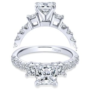 Taryn 14k White Gold Princess Cut 3 Stone Engagement Ring TE4020W44JJ