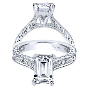 Taryn 14k White Gold Emerald Cut Straight Engagement Ring TE8810W44JJ