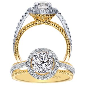 Taryn 14k Yellow/White Gold Round Halo Engagement Ring TE5366M43JJ
