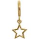 Endless Jewelry Star Gold Plated Charm 53204