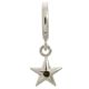 Endless Jewelry Black Shiny Star Sterling Silver Charm 43267-2