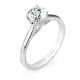 Parade New Classic R2638 Platinum Diamond Engagement Ring