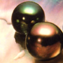 Two dark pearls with green and bronze overtones